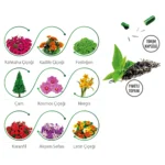 Bitki Yetiştirme Seti