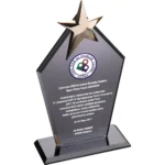 Kristal Plaket Füme