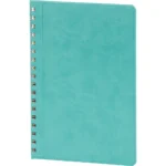 Spiralli Ajanda Kapak Turkuaz