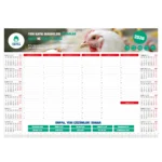 Tarihsiz Masa Sümeni